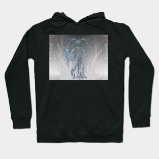 The Unseelie (Dark Fae) (2) Hoodie